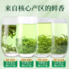1feedd13-458e-4203-bee9-2f1a30d1af2a.jpg 【Four Major Green Teas】Before the Pure Brightness Festival, Biluochun, Longjing, Maojian, Mountain Cloud and Mist Green Tea Leaves, New Tea, Authentic, High-End, Loose-Leaf