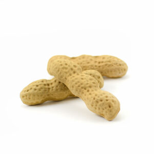 DSC_0222.jpg Peanut Teapet