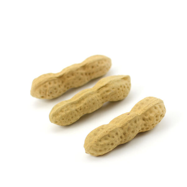 DSC_0224.jpg Peanut Teapet