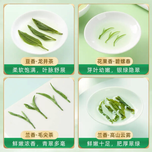 abf31231-ebba-442e-ab64-3d92ac10bb95.jpg 【Four Major Green Teas】Before the Pure Brightness Festival, Biluochun, Longjing, Maojian, Mountain Cloud and Mist Green Tea Leaves, New Tea, Authentic, High-End, Loose-Leaf